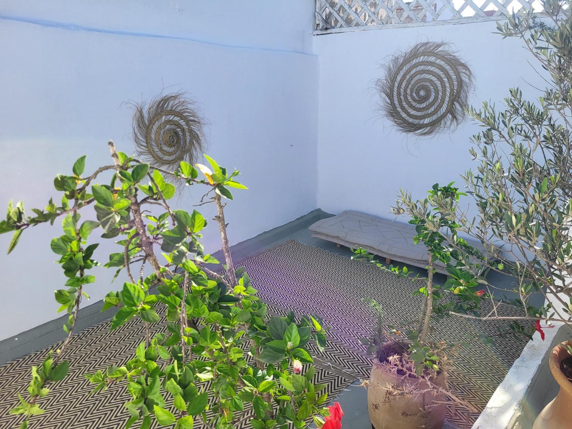 利亚德达瑙法旅馆 塞尔 外观 照片